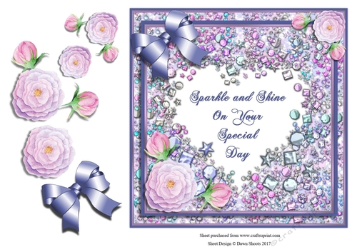 Sparkle and Shine Special Day