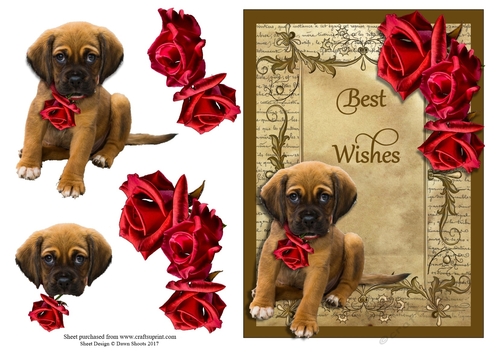 Puppy Love with Red Roses