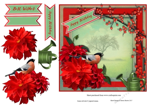 Hot Summer Dahlias