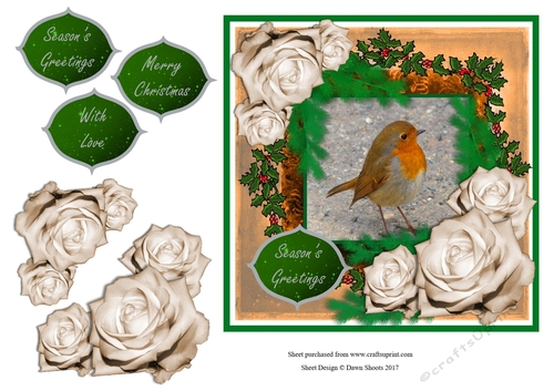 Snowbird Robin Christmas