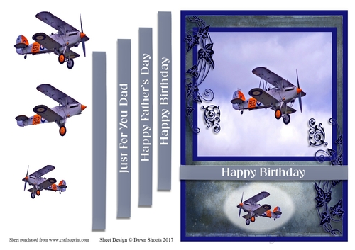 Birthday Vintage Aircraft