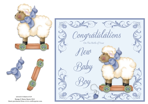 New Baby Boy