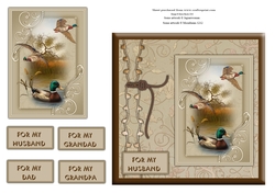 Damask Ducks