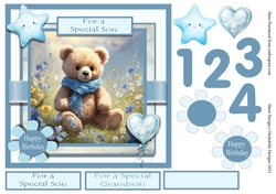 Teddy Bear Birthday Boy