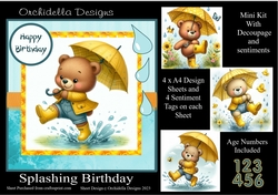 Splashing Birthday