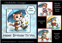 Lots of Puddles Birthday