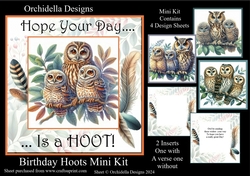Birthday Hoot