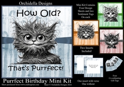 Purrfect Birthday