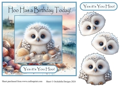 Hoo Has a Birthday Today