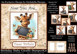 Birthday Baby Giraffe