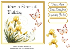 Yellow Iris Beautiful Birthday 