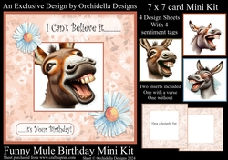 Funny Mule Birthday