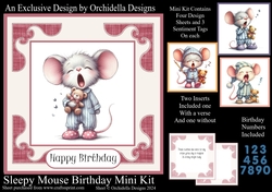 Sleepy Mouse Birthday