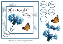 Cornflower Beautiful Birthday