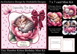 Tiny Slumber Kitten Birthday