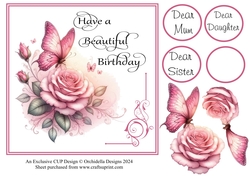 Sweet Rose Butterfly