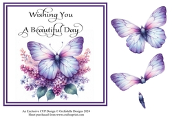 Purple Butterfly Wishes