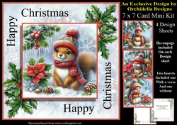 Winter Squirrels