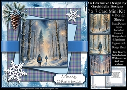 Snowy Winter Forest Walk