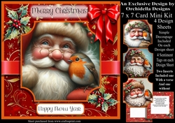 Santa and the Robin