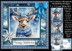 Super Cool Reindeer