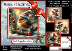 Robin Christmas Time