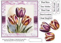 Beautiful Tulip Birthday Trio