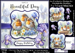 Spring Robins Beautiful Day