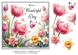 Wonderful Day Tulip Delight