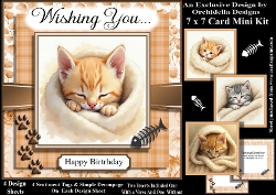 Cute Snuggled Kittens