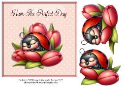 Ladybird Perfect Day
