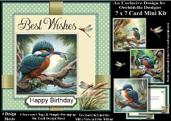 Kingfisher Catch