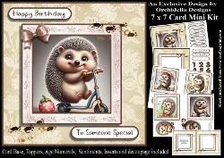 Scooter Hedgehog Birthday