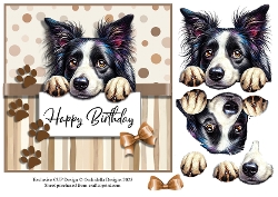 Perfect Pal Birthday