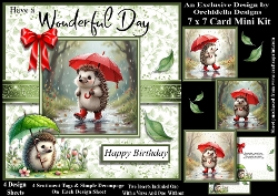 Rainyday Hedgehog Birthday