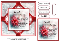 The Christmas Poinsettia