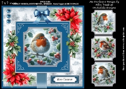 Holly Frosty Robin