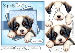The New Puppy 2