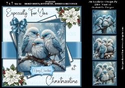 Winter Bluebirds