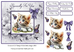 The Kitten & The Butterfly