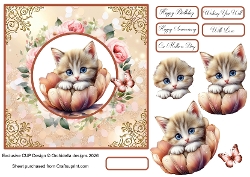Little Flower Kitten 1