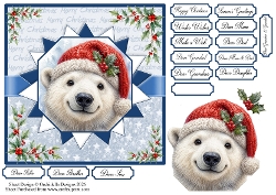 Happy Christmas Mr Bear