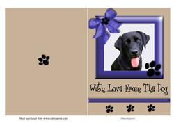Love from the Dog Card Front