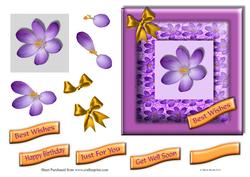 Lilac Crocus Square Card Front
