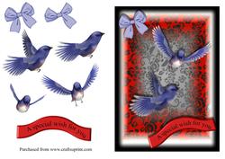 Bluebirds Special Wish Card Front