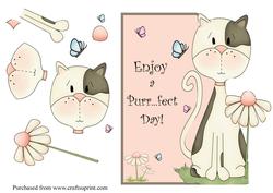 Purr - fect Day Over the Edge Card Front