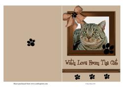With Love from the Cat Quick Card