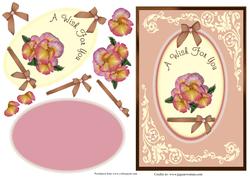 Pink Pansy Passion