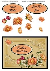 Jubilant Roses Card Front