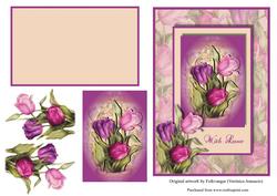 For the Love of Tulips